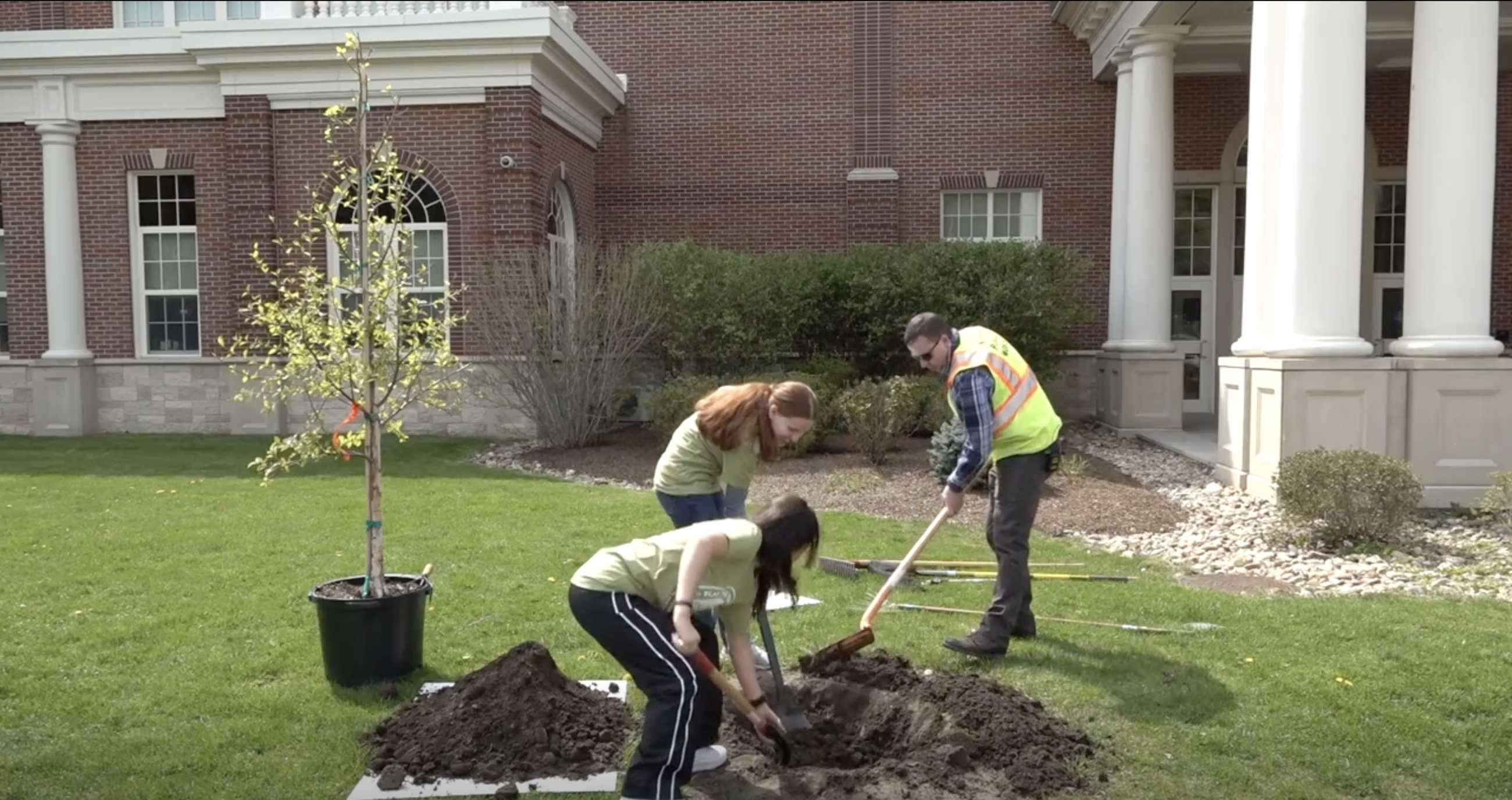 Tree planting Opens in new window